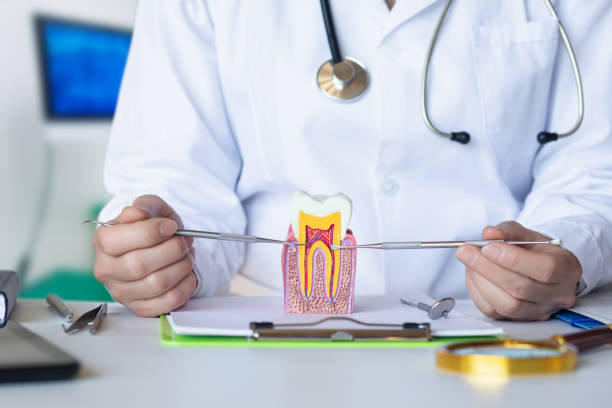 Best Broken or Cracked Tooth Emergency Dentist in Holmes Beach, FL
